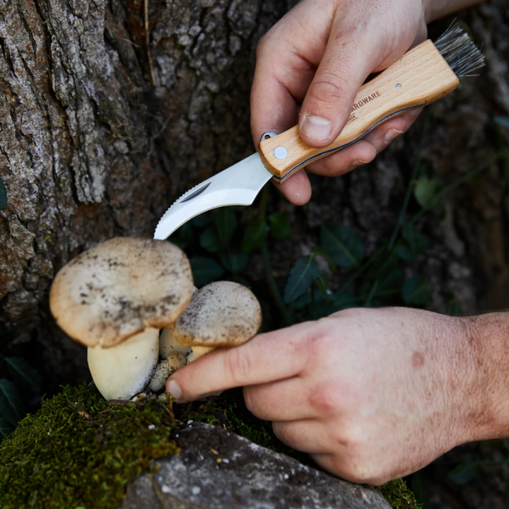 Gentlemen's Hardware Foraging Knife Lifestyle | Merchants Homewares