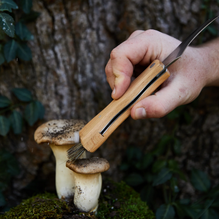 Gentlemen's Hardware Foraging Knife Lifestyle | Merchants Homewares