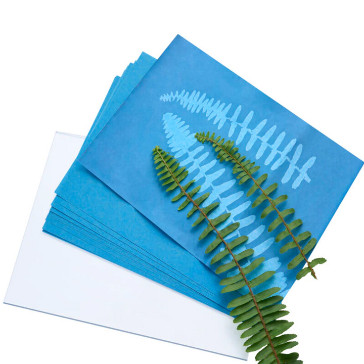 Heebie Jeebies Herschel Solar Print A4 Starter Kit Lifestyle | Merchants Homewares