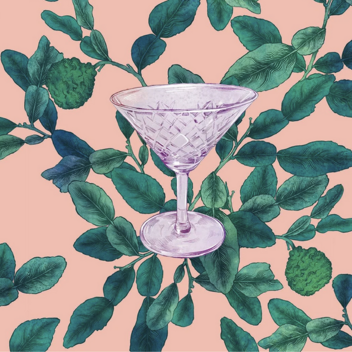 Harper Collins The Cocktail Garden Book Martini Illustration | Merchants Homewares
