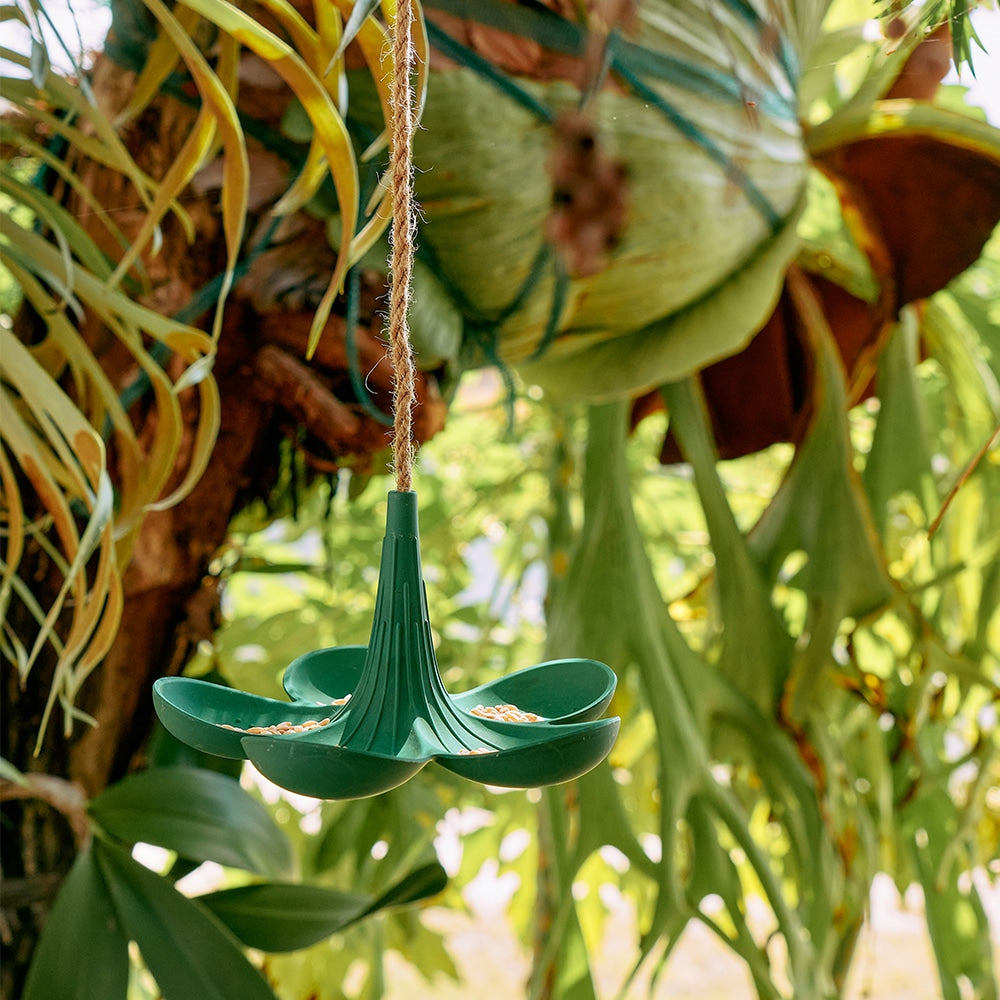 Annabel Trends Bamboo Bird Feeder Green Lifestyle | Merchants Homewares