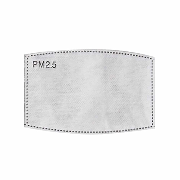 Annabel Trends Face Mask Filters 10pc | Merchants Homewares