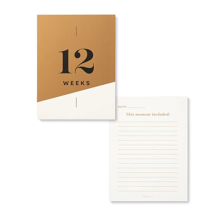 Compendium Pregnancy Milestone Cards Moments Of Joy | Merchants Homewares