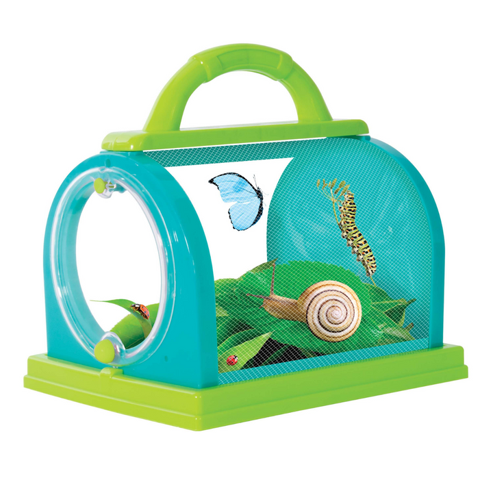 Discovery Zone Bug Study Set Green Lifestyle | Merchants Homewares