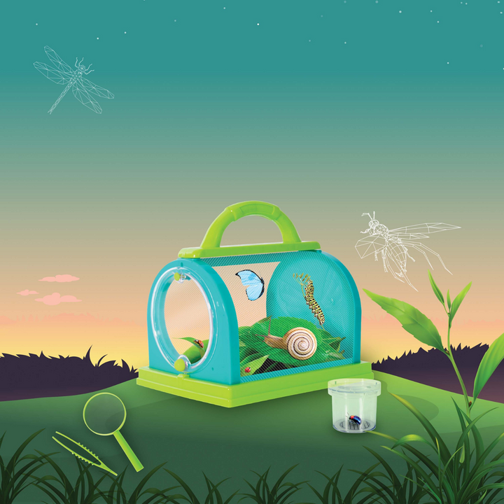 Discovery Zone Bug Study Set Green Lifestyle | Merchants Homewares