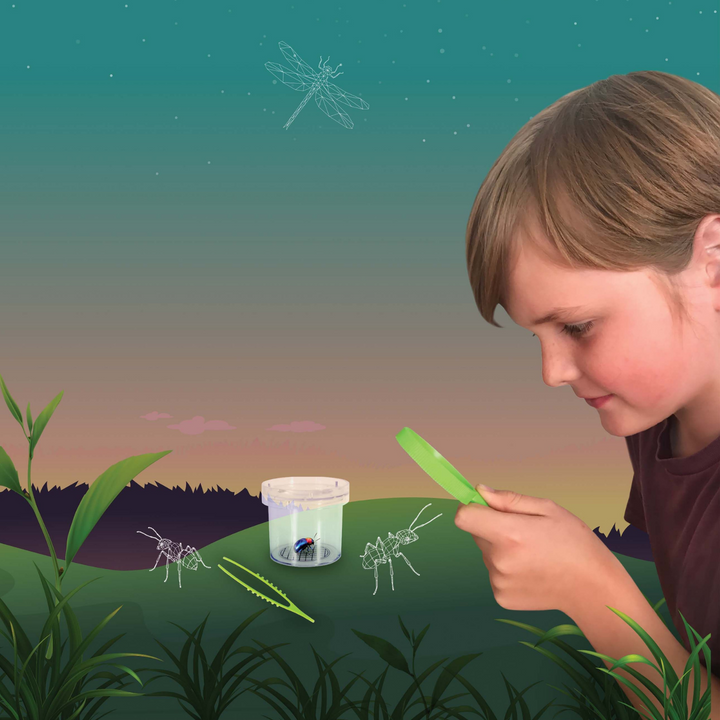 Discovery Zone Bug Study Set Green Lifestyle | Merchants Homewares