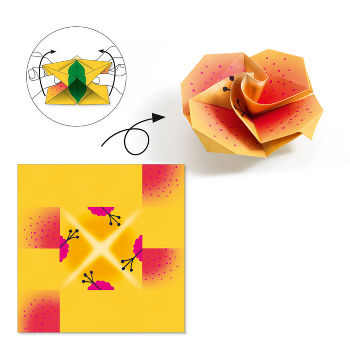 Djeco Tropics Origami | Merchants Homewares