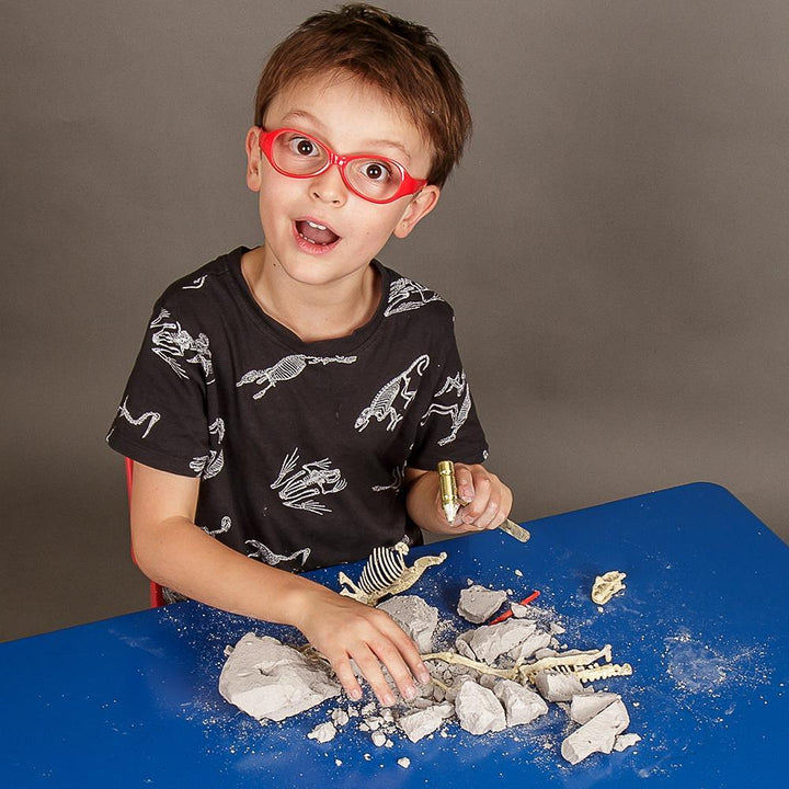 Heebie Jeebies Palaeontology Kit Triceratops | Merchants Homewares