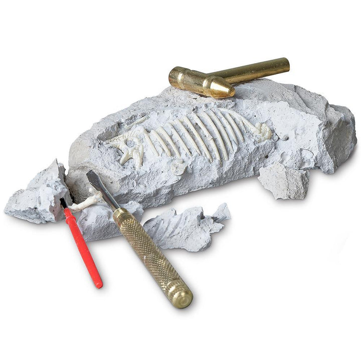 Heebie Jeebies Palaeontology Kit Tyrannosaurus | Merchants Homewares
