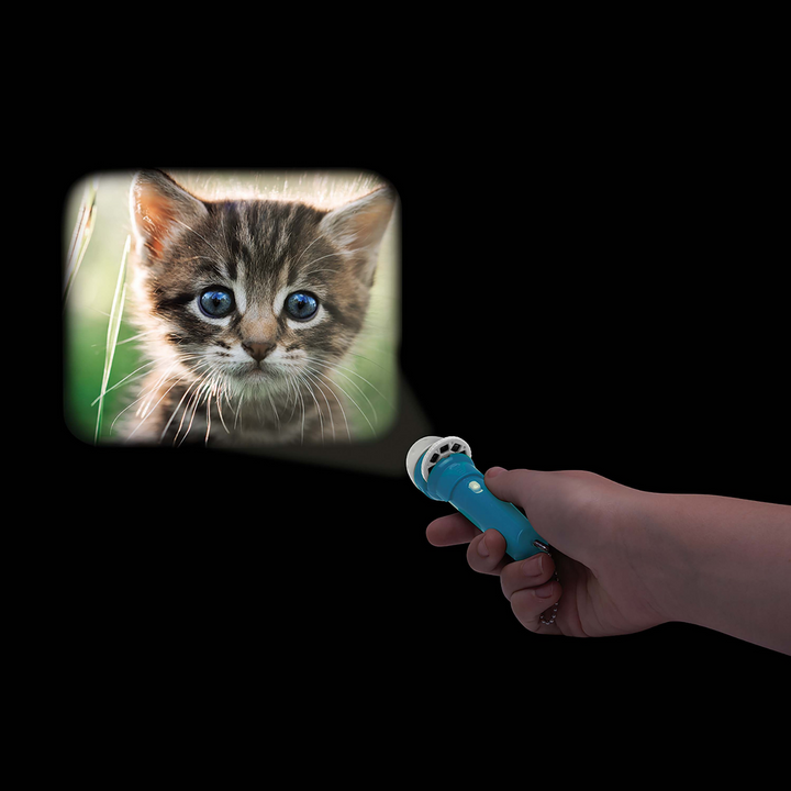 I.S Gift Torch Projector Cats Lifestyle | Merchants Homewares