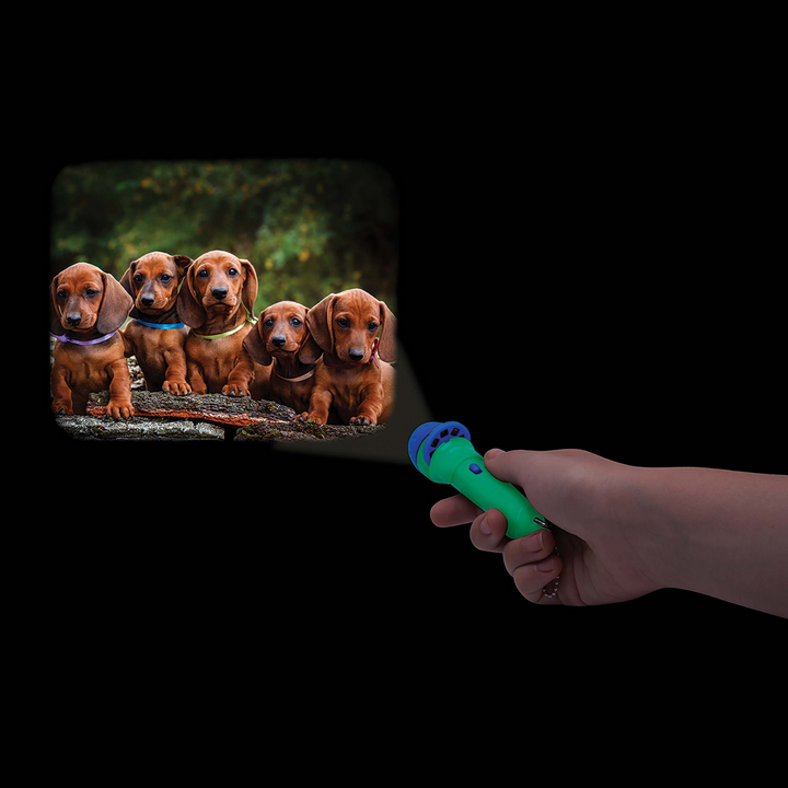I.S Gift Torch Projector Dogs Lifestyle | Merchants Homewares