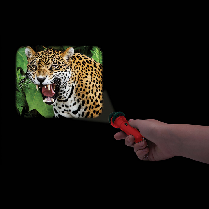 I.S Gift Torch Projector Wild Things That Bite And Sting Lifestyle | Merchants Homewares