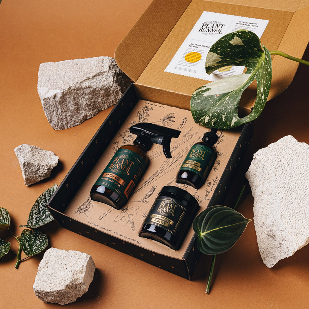 Plant Runner  Plant Care Booster Kit | Merchant Homewares