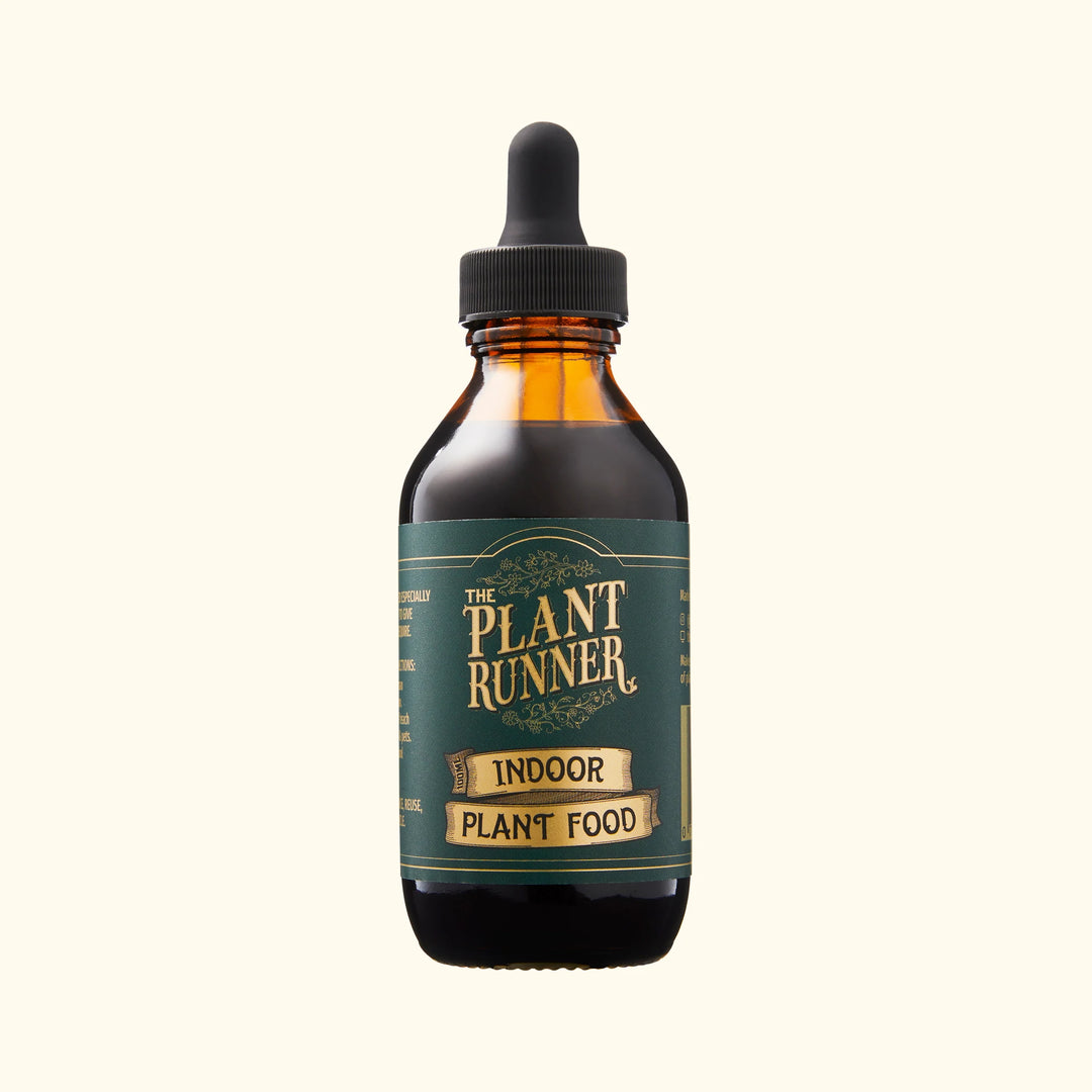Plant Runner | Indoor Plant Food | Merchant Homewares