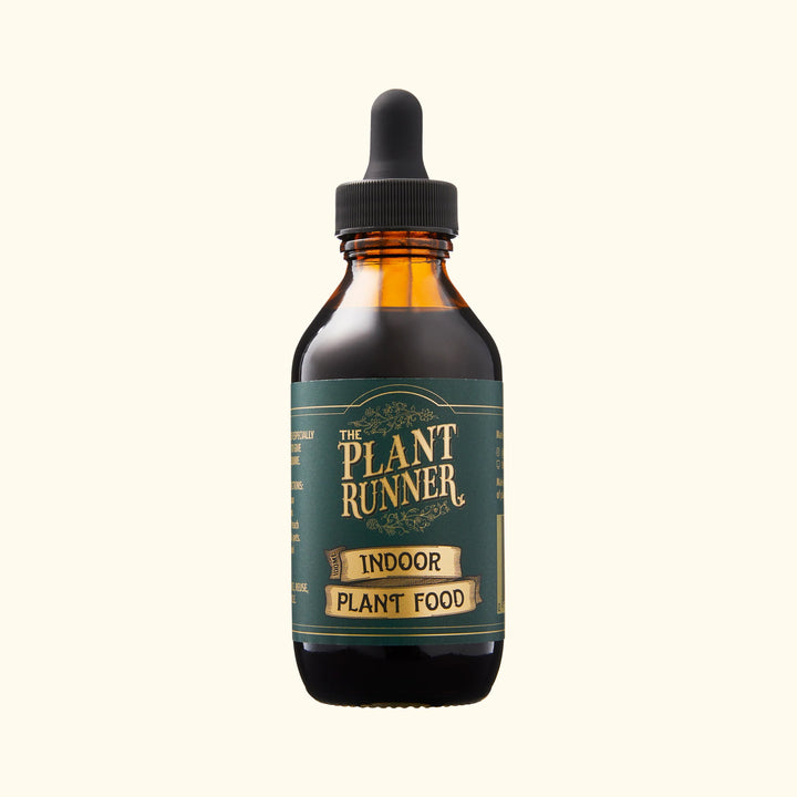 Plant Runner | Indoor Plant Food | Merchant Homewares