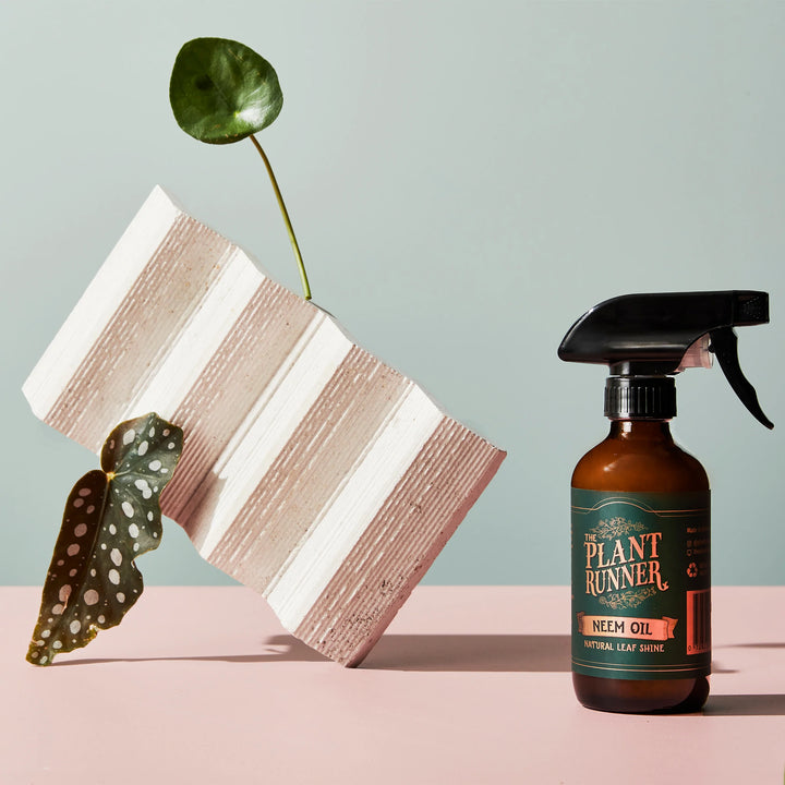 Plant Runner | Neem Oil Leaf Shine | Lifestyle | Merchant Homewares