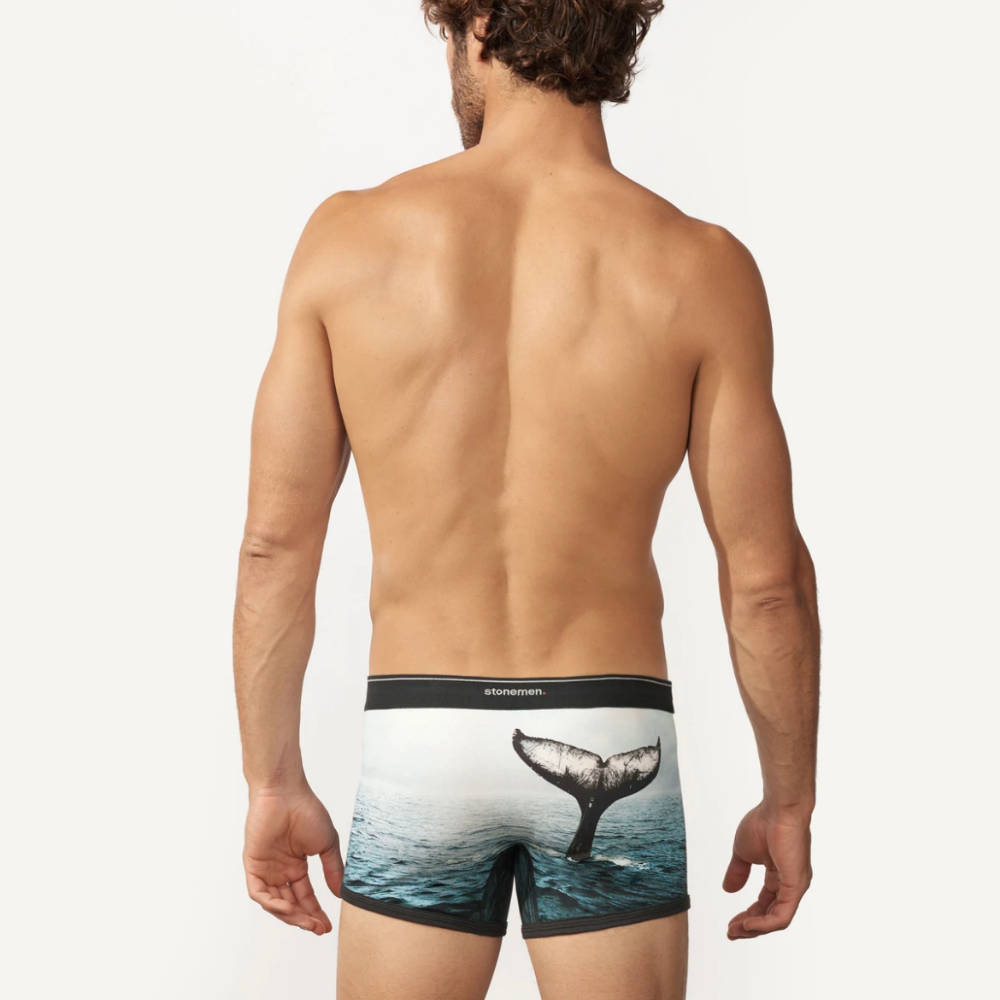 Stonemen Whale Tail Boxer Brief Lifestyle | Merchants Homewares