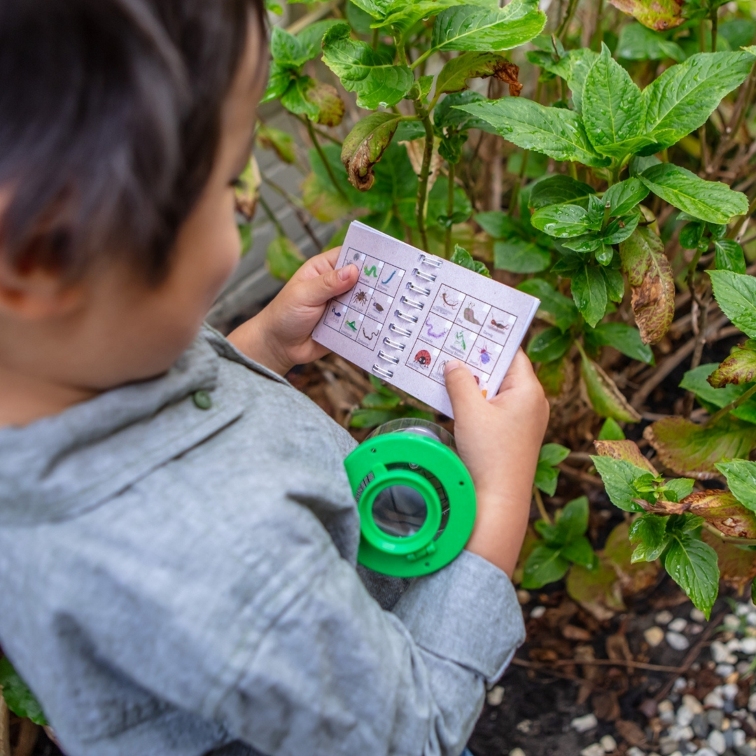 Tiger Tribe | Bug Spotter Kit | Lifestyle | Merchant Homewares