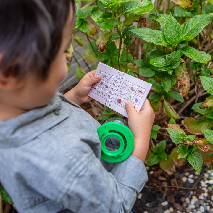 Tiger Tribe | Bug Spotter Kit | Lifestyle | Merchant Homewares