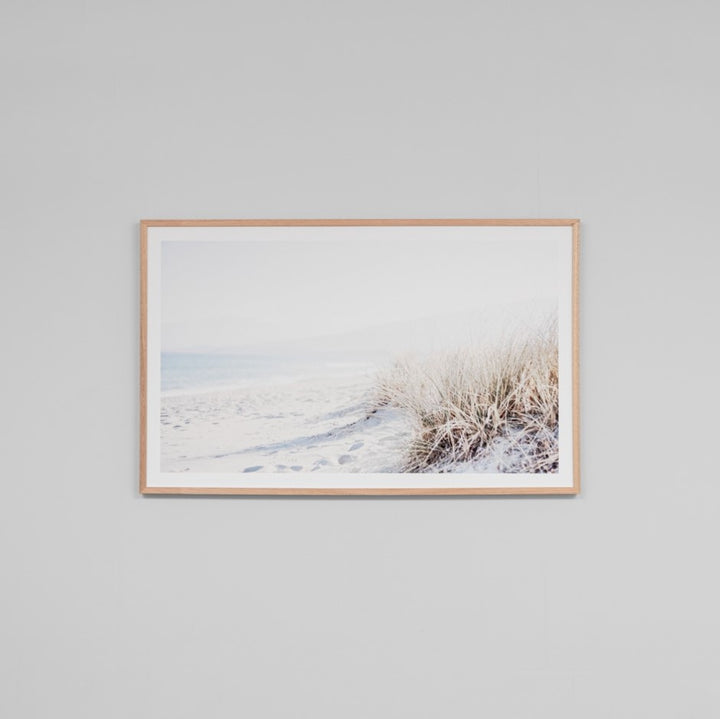 Beach Grass