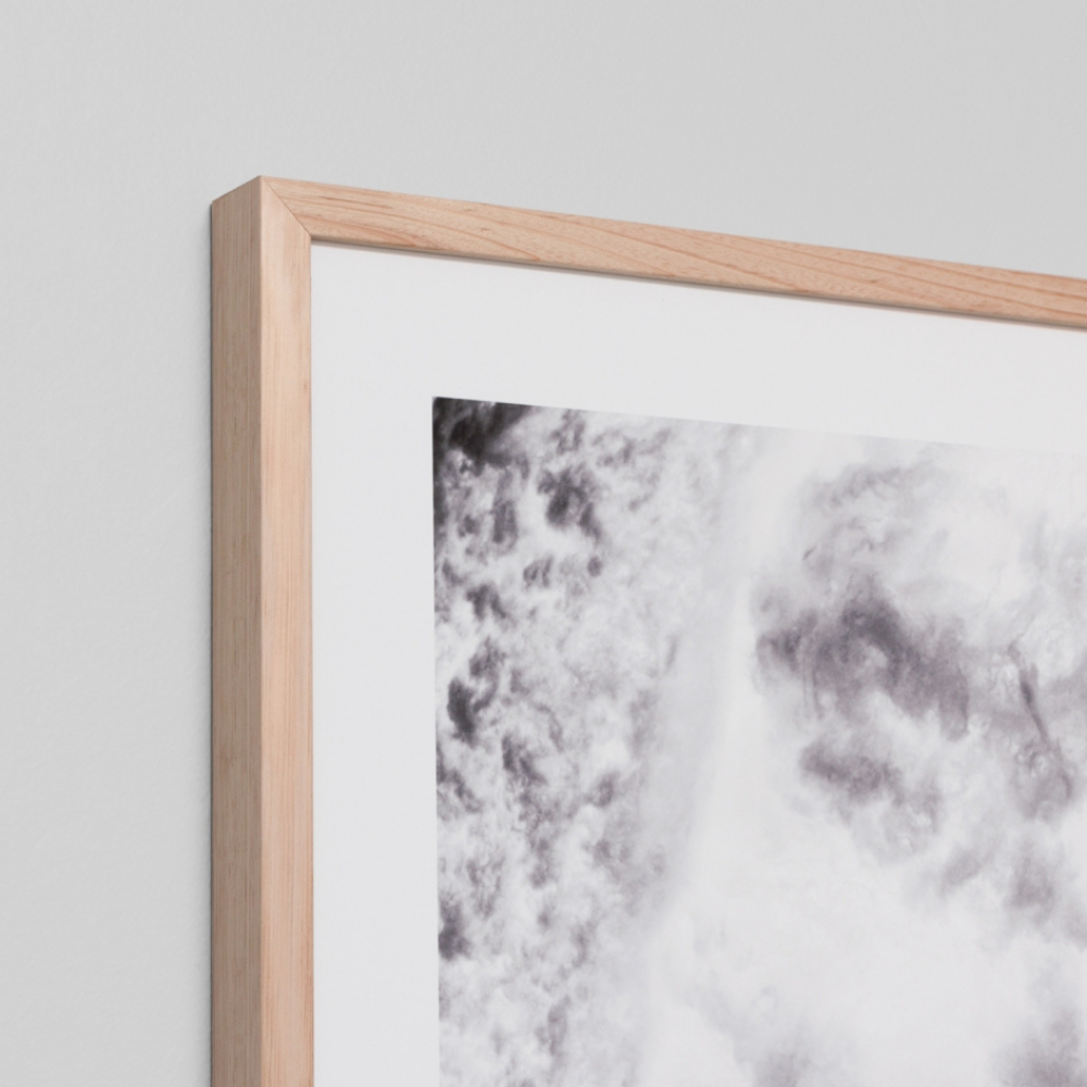 Warrenbrooke  Dive In  Framed  | Merchants Homewares