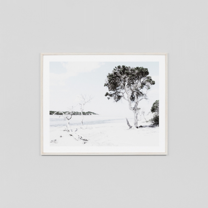 Warrenbrooke  Eucalyptus Cove  Framed | Merchants Homewares
