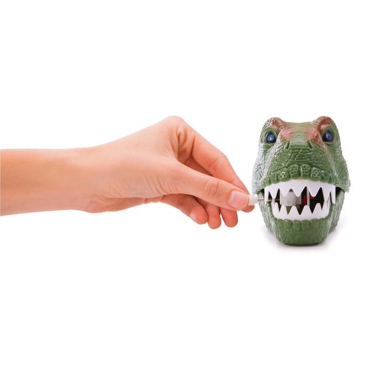 Wind Up Chattering T-Rex Lifestyle | Merchants Homewares