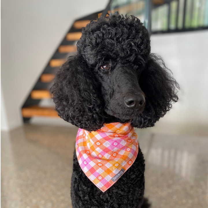 Hot Dog Bandana | Linen | Rainbow Spirit