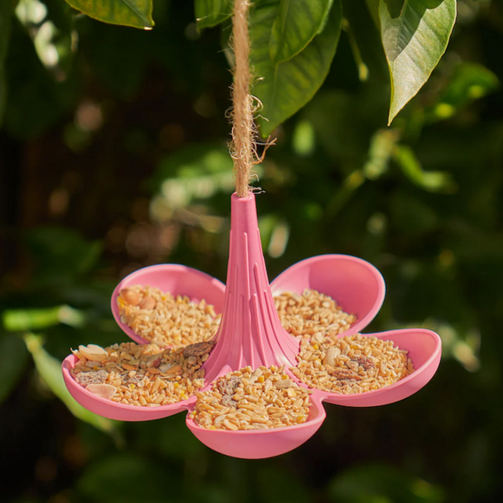 Annabel Trends Bamboo Bird Feeder Pink Lifestyle | Merchants Homewares