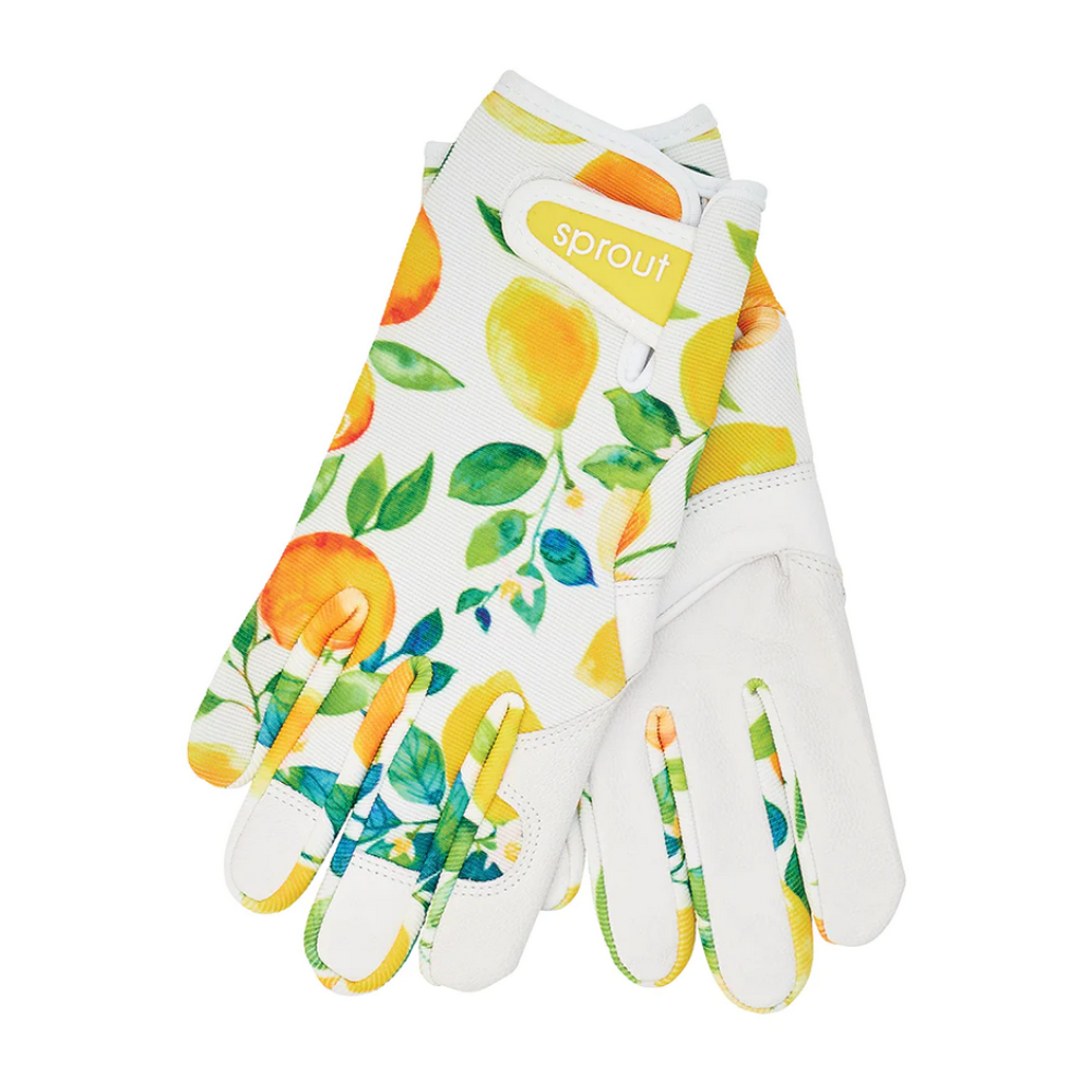 Annabel Trends Sprout Design Goastskin Gloves Amalfi Citrus | Merchants Homewares