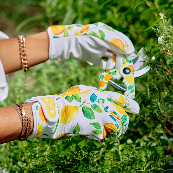 Annabel Trends Sprout Design Goastskin Gloves Amalfi Citrus Lifestyle | Merchants Homewares