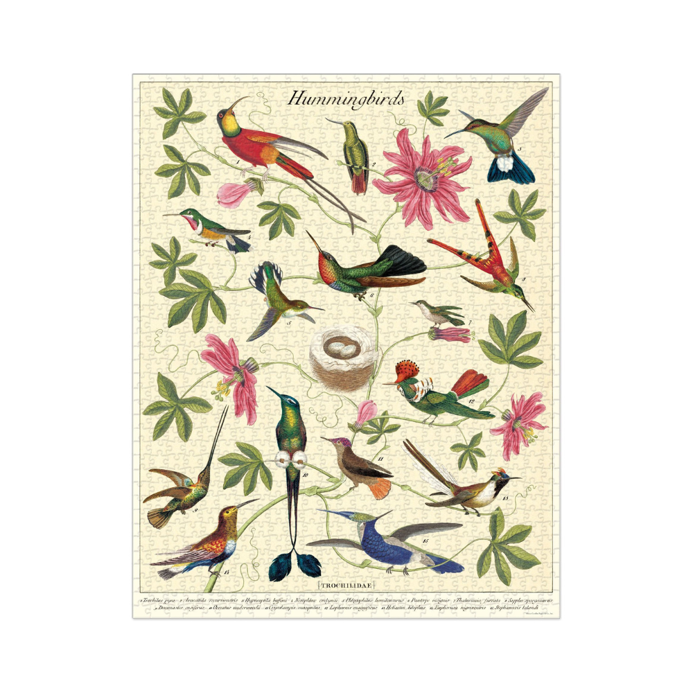 Bobangles Cavallini Hummingbird Puzzle 1000pc | Merchants Homewares