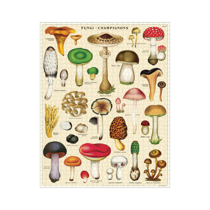 Bobangles Cavallini Mushrooms Puzzle 1000pc | Merchants Homewares