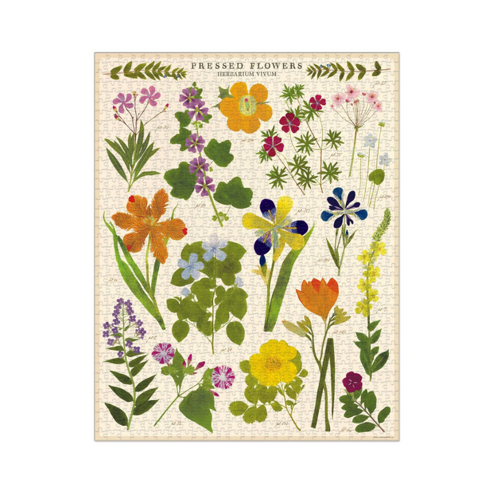 Bobangles Cavallini Pressed Flowers Puzzle 1000pc | Merchants Homewares