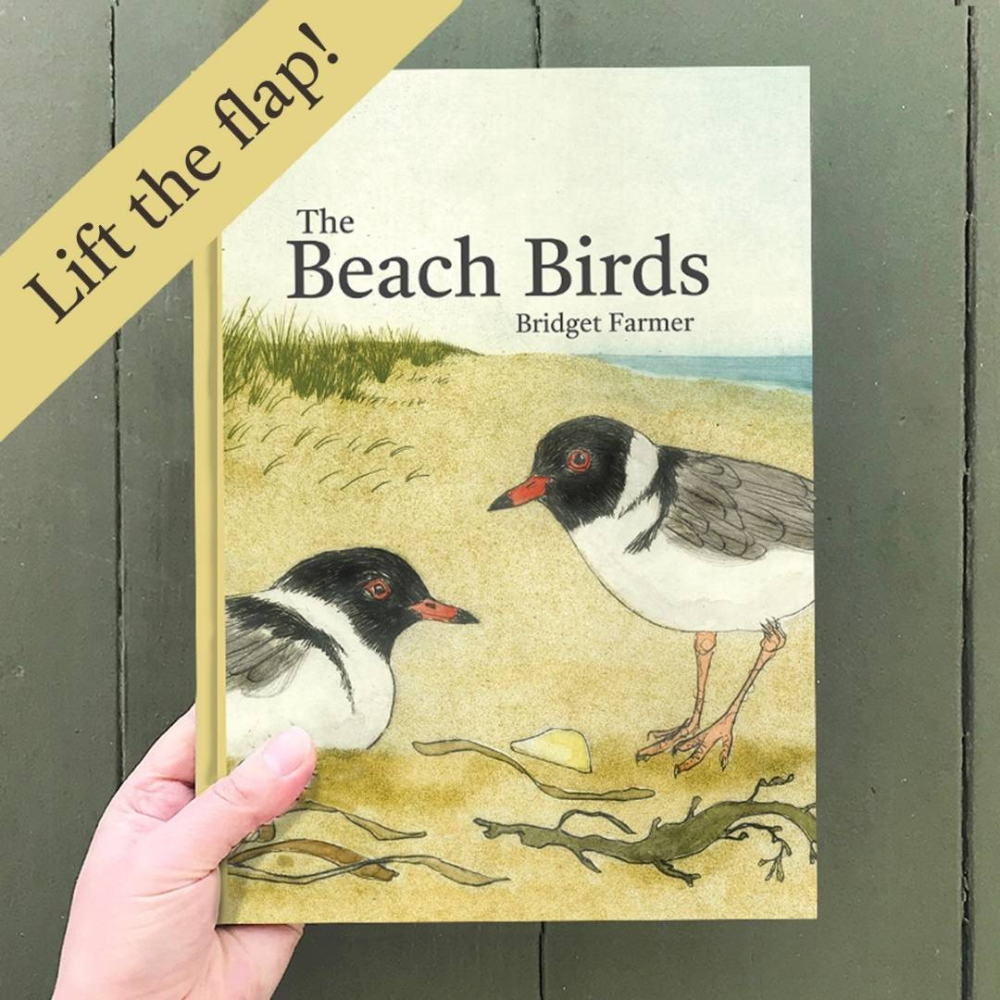 Bridget Farmer The Beach Birds Book | Merchants Homewares