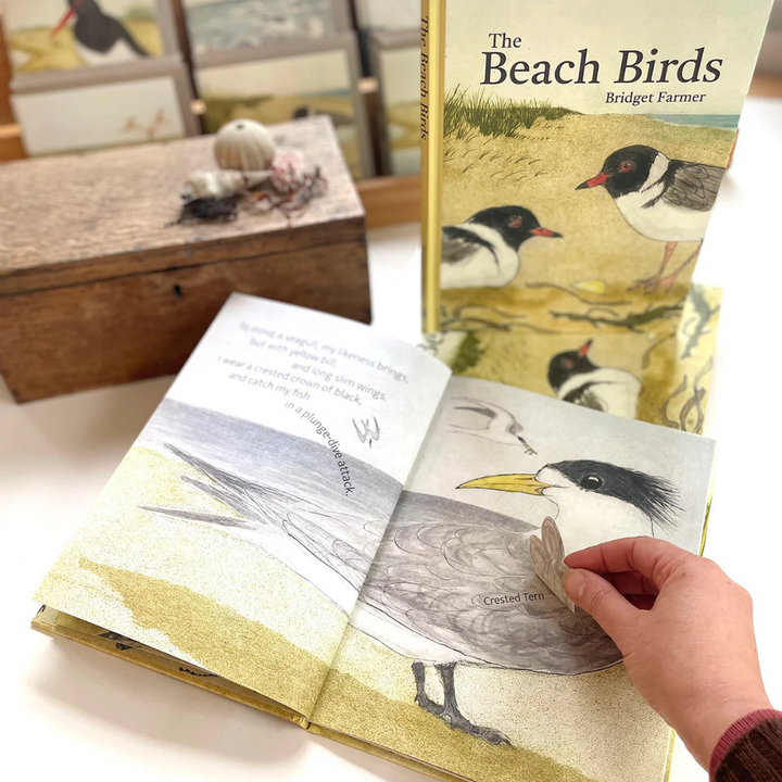 Bridget Farmer The Beach Birds Book Lifestyle | Merchants Homewares