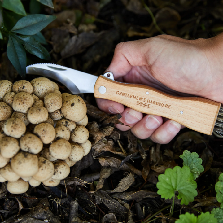 Gentlemen's Hardware Foraging Knife Lifestyle | Merchants Homewares