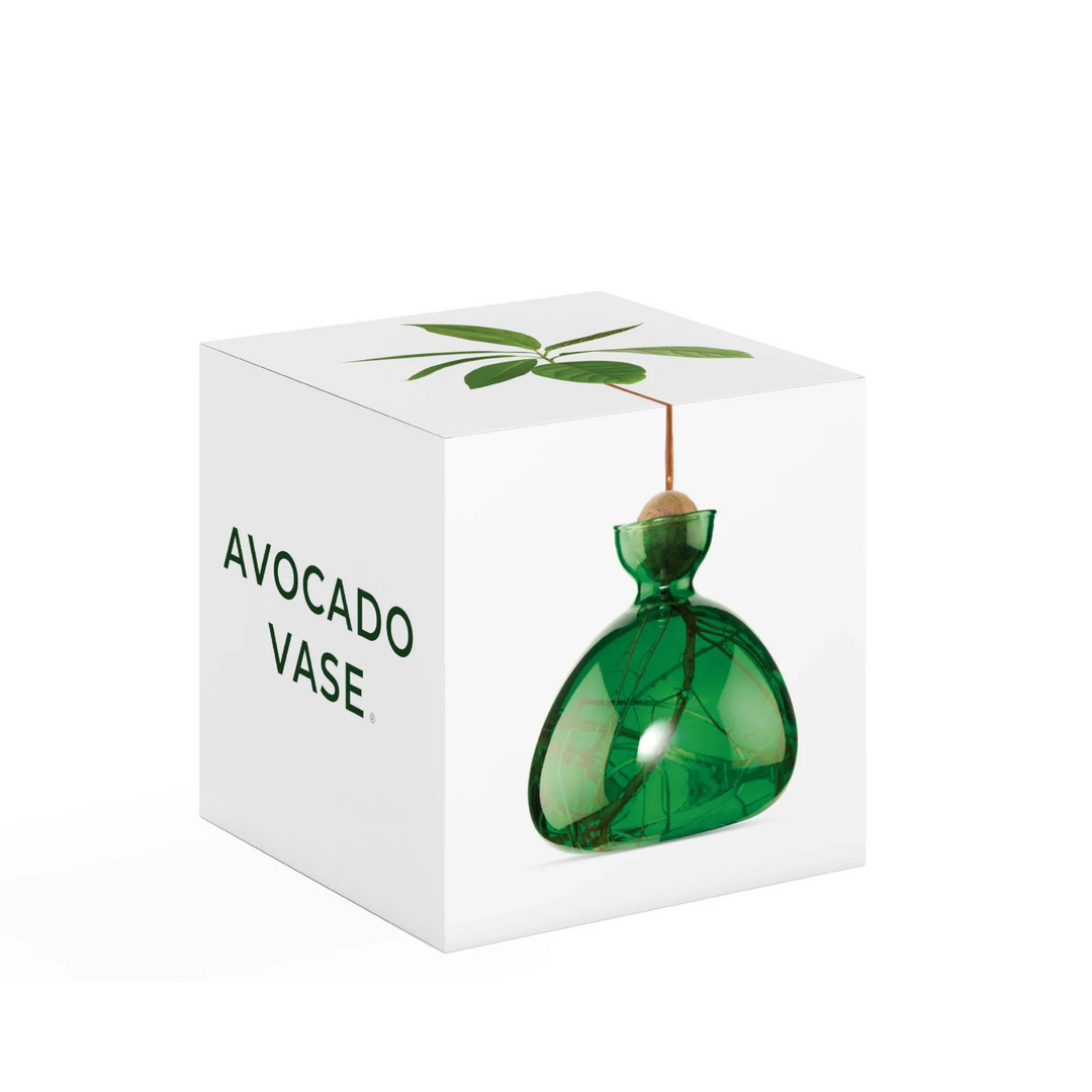 Ilex Studio Avocado Vase Emerald Green | Merchants Homewares