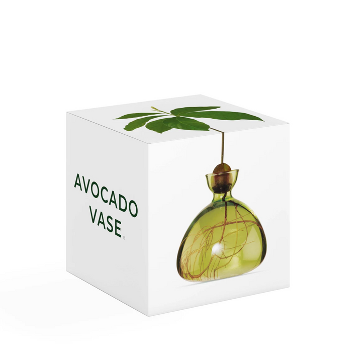 Ilex Studio Avocado Vase Grass Green | Merchants Homewares