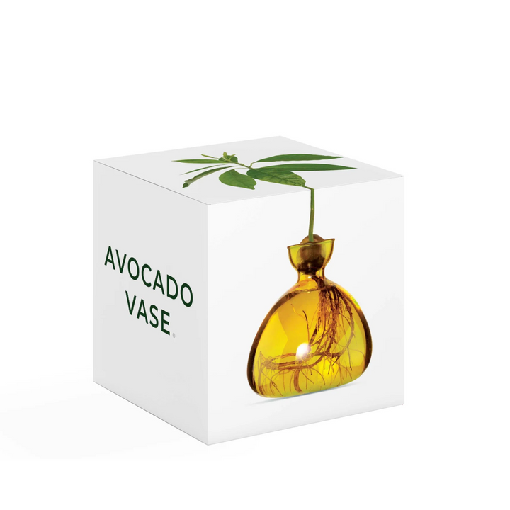 Ilex Studio Avocado Vase Mellow Yellow | Merchants Homewares