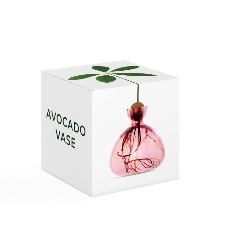 Ilex Studio Avocado Vase Rose Pink | Merchants Homewares
