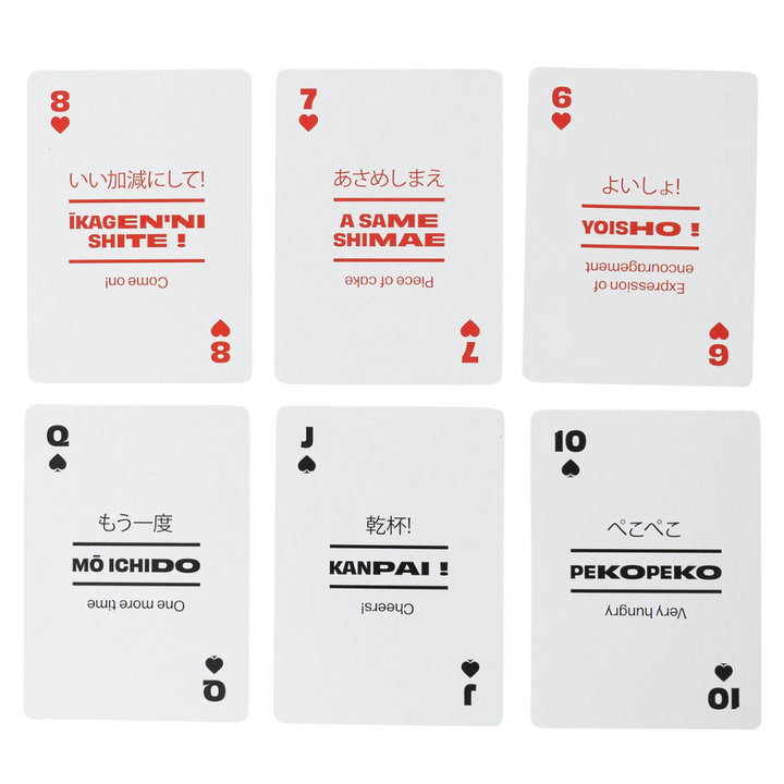 Lingo Japanese Travel Tin Cards | Merchants Homewares