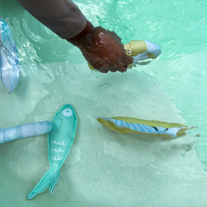 Sunnylife Dive Buddies Sammy The Seagull Set Of 6 Lifestyle | Merchants Homewares