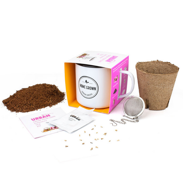 Urban Greens Co Grow Kit Grow Your Own Echinacea Tea Contents | Merchants Homewares