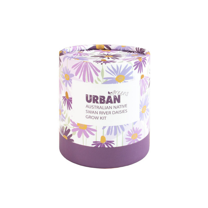 Urban Greens Co Grow Kit Swan River Daisies | Merchants Homewares