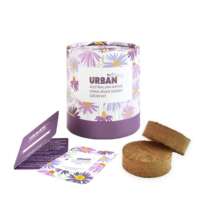 Urban Greens Co Grow Kit Swan River Daisies Contents | Merchants Homewares