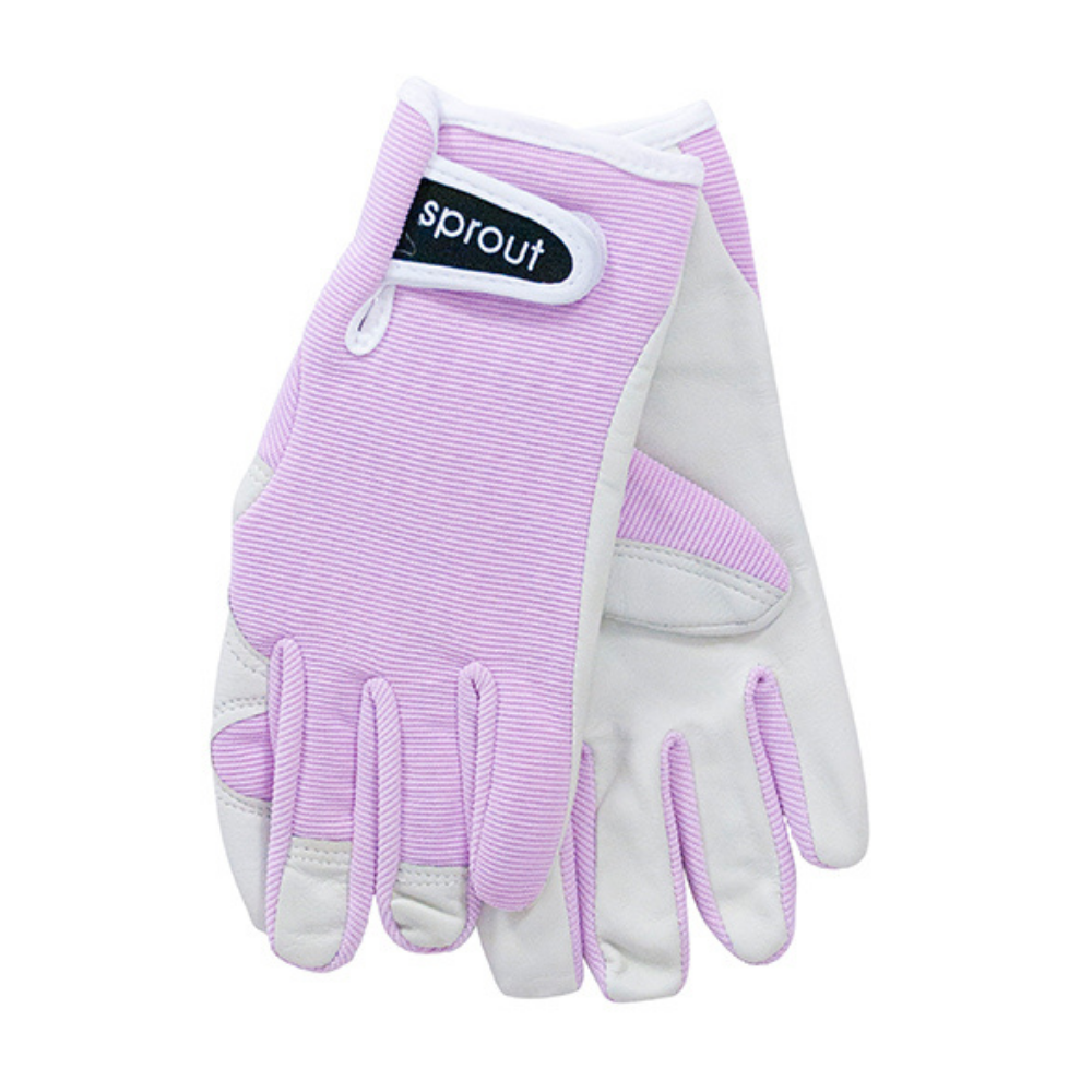 Annabel Trends Sprout Goatskin Gloves Blush Pink | Merchants Homewares