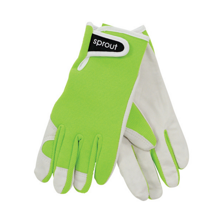 Annabel Trends Sprout Goatskin Gloves Lime | Merchants Homewares