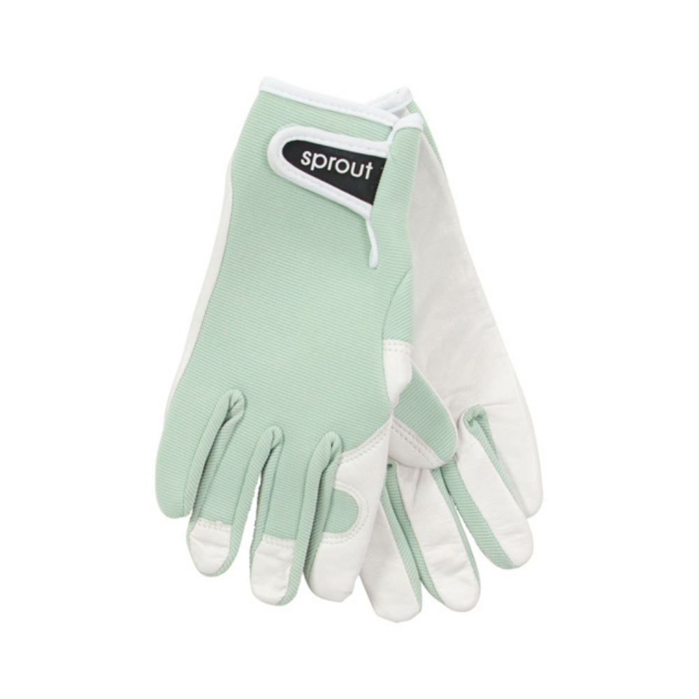 Annabel Trends Sprout Goatskin Gloves Sage Green | Merchants Homewares