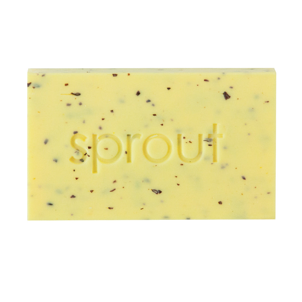 Annabel Trends Sprout Soap Pineapple & Ginger | Merchants Homewares